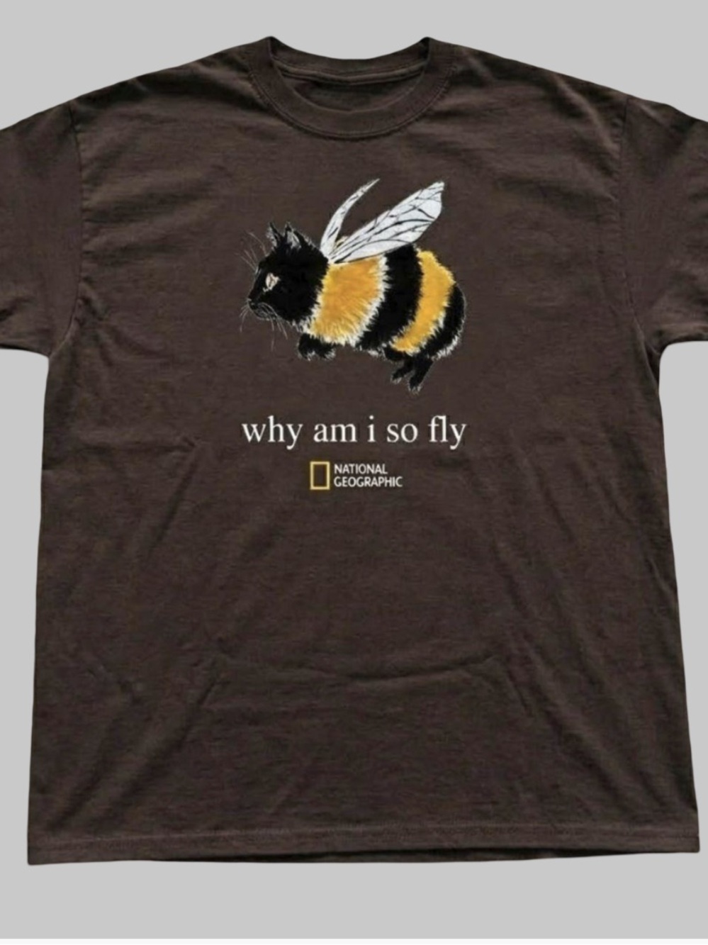 Gildan Brown Tee with Bee-Cat Graphic and Yellow Stripe Accents